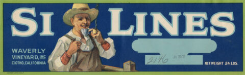 Si Lines